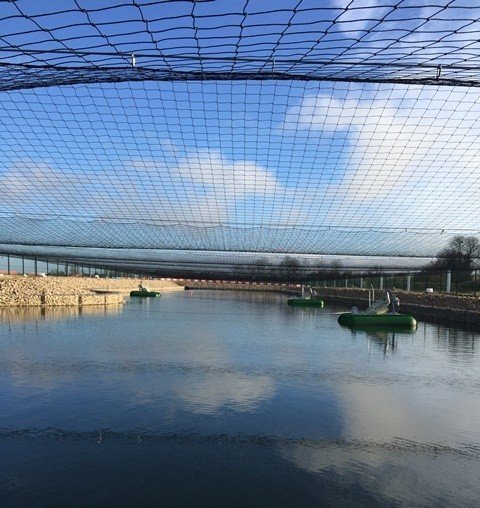 Bird Control Net Cambridge Airport