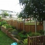 Timber Panels & Trellis